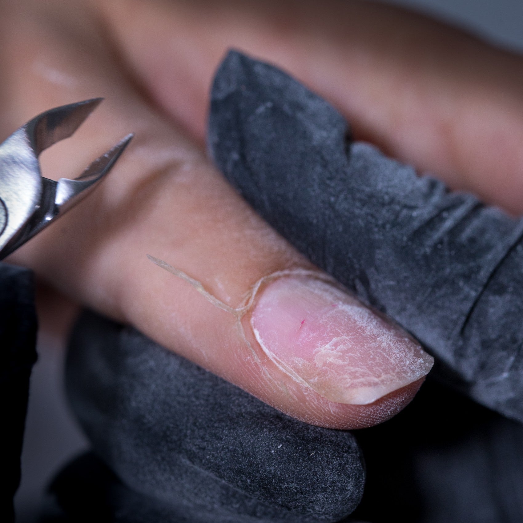 Builder + Gel Polish + Russian manicure